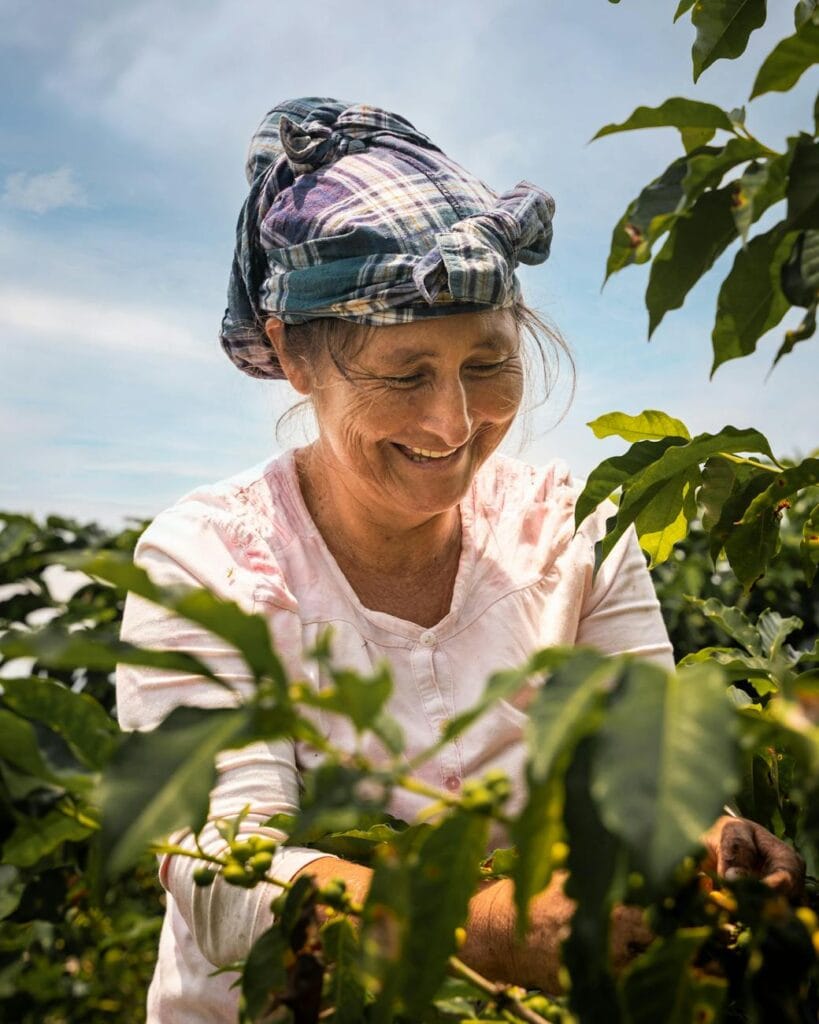 fairtrade coffee brands buy now