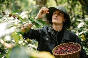 fairtrade coffee - coffee price