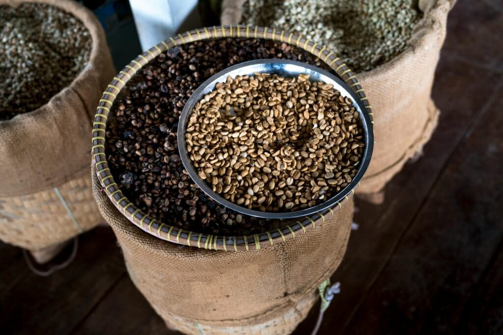 Overhead view of burlap sacks filled with coffee beans, featuring a metal bowl with roasted beans.