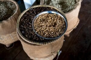 Overhead view of burlap sacks filled with coffee beans, featuring a metal bowl with roasted beans.